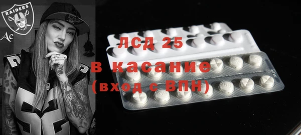 стафф Алексин