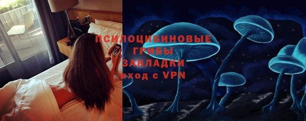 стафф Алексин