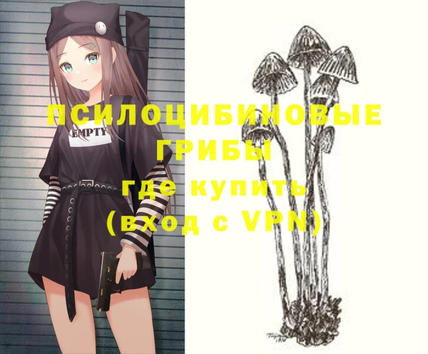 сатива Алзамай