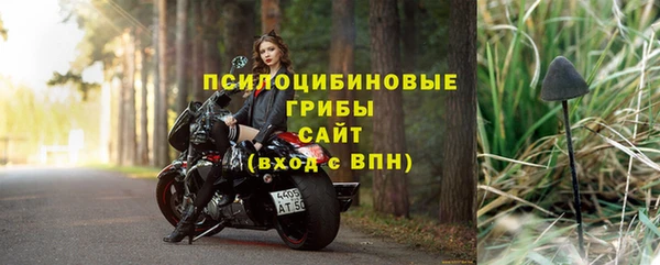 apvp Абаза